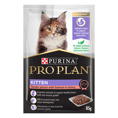PRO PLAN Kitten Tender Pieces with Salmon in Gravy Wet Cat Food